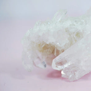Calcium Hydroxyapatite & L-Arginine