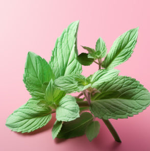 mint ingredient